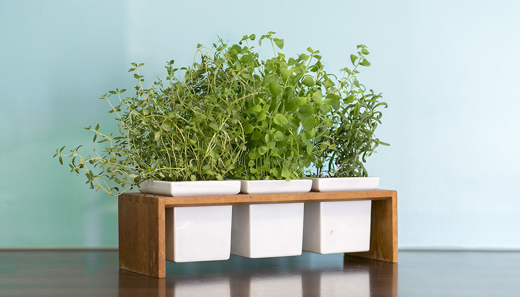 Decorate with plants and herbs