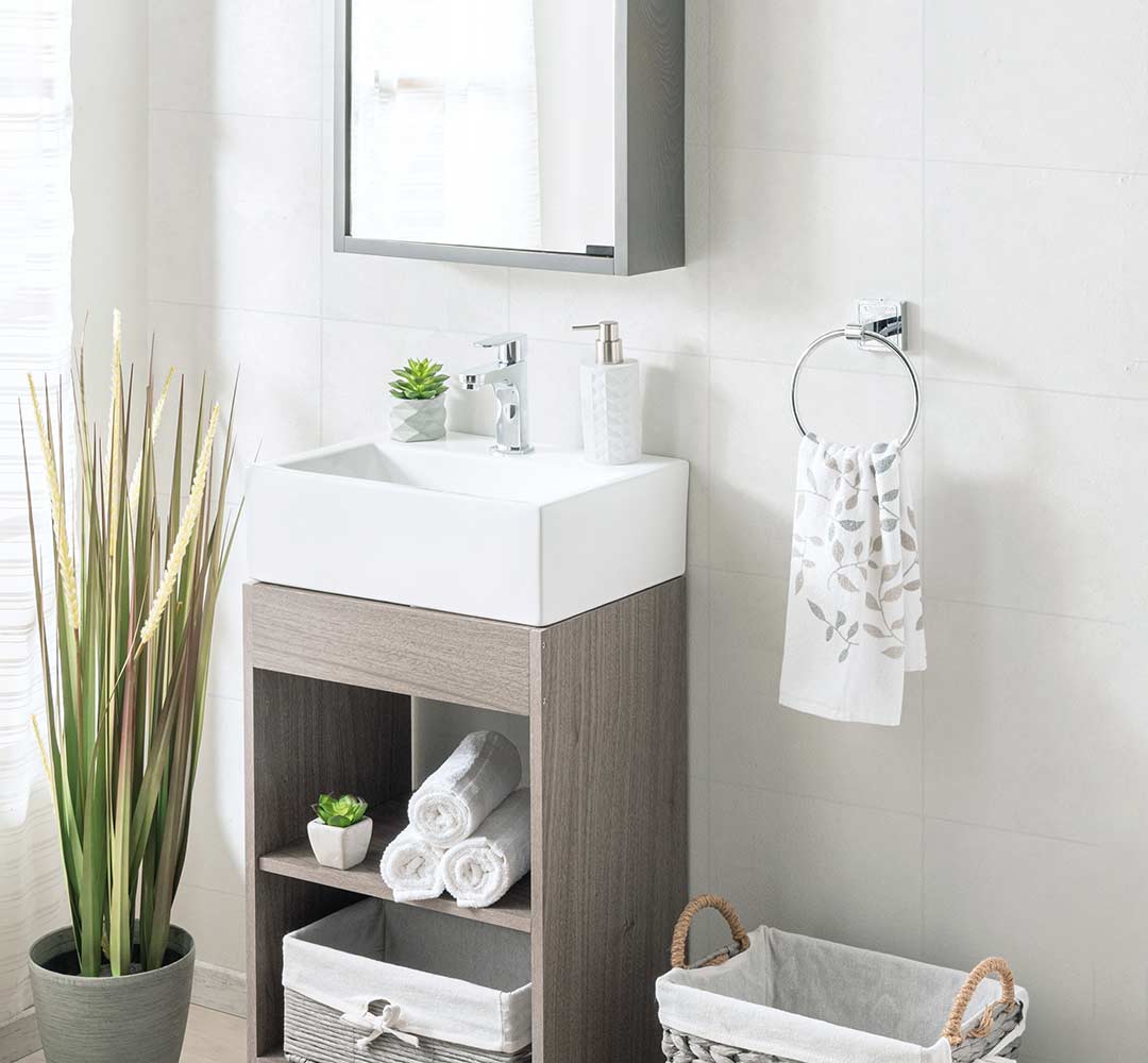 Vanity With Mirrored Cabinet